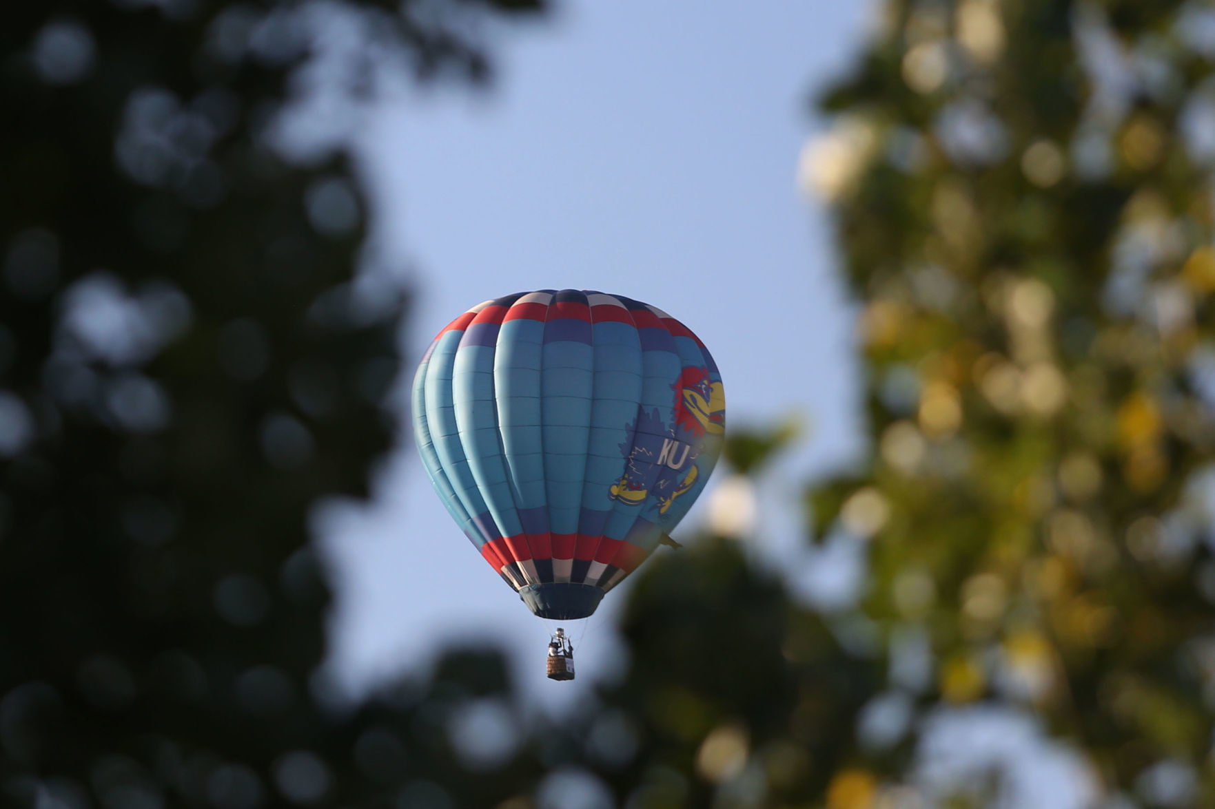 Balloon Roundup